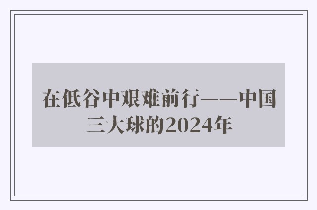 在低谷中艰难前行——中国三大球的2024年