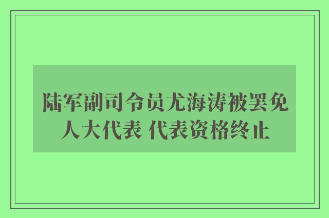 陆军副司令员尤海涛被罢免人大代表 代表资格终止