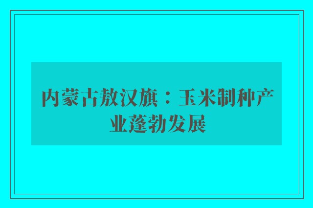 内蒙古敖汉旗：玉米制种产业蓬勃发展