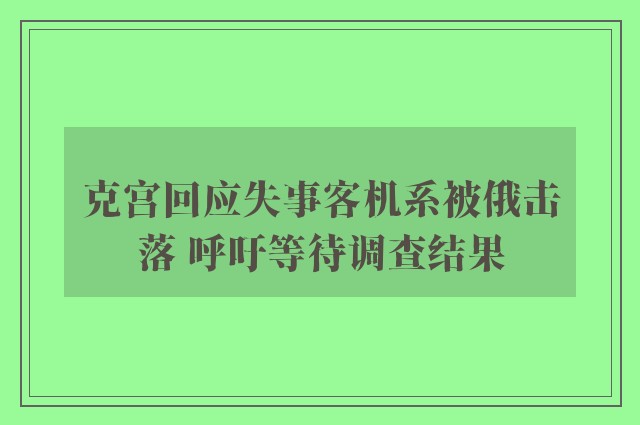 克宫回应失事客机系被俄击落 呼吁等待调查结果