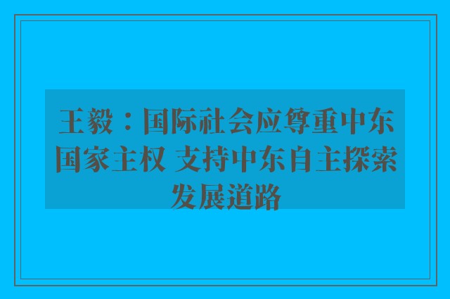 王毅：国际社会应尊重中东国家主权 支持中东自主探索发展道路