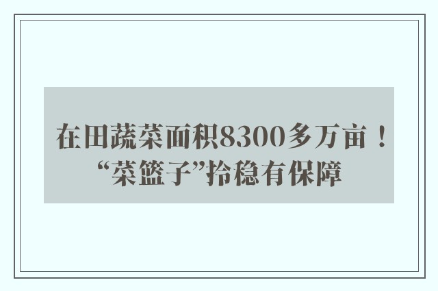 在田蔬菜面积8300多万亩！“菜篮子”拎稳有保障