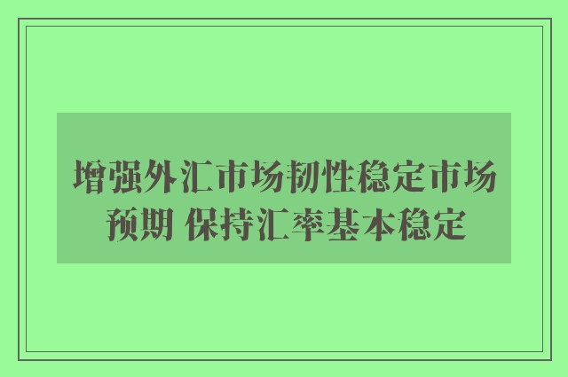 增强外汇市场韧性稳定市场预期 保持汇率基本稳定